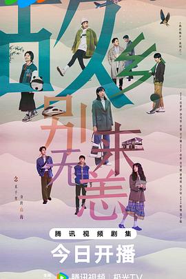 快速seo排名优化联系v火15星